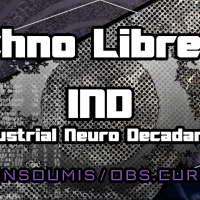 IND - Interview : La Techno Libre #13